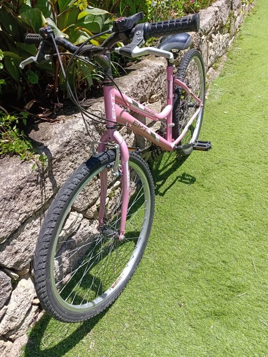 Bicicleta quadro baixo