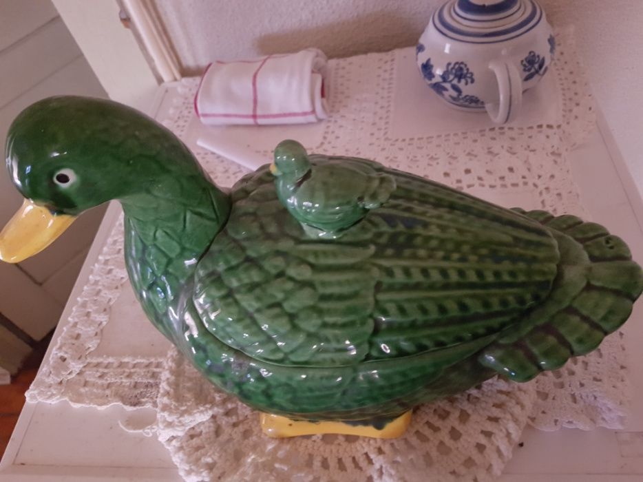 Pato antigo em estado novo