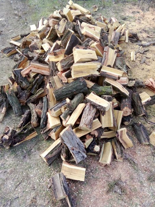 Дрова твердых пород