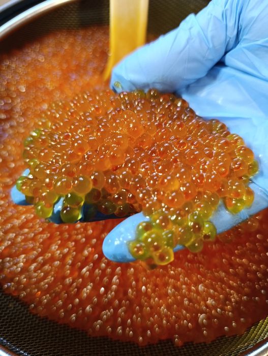 Красная икра.{ Червона ікра}.  свіжа без рідини> Слабосолена.