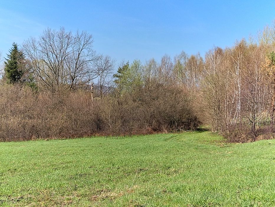 Działka na sprzedaż