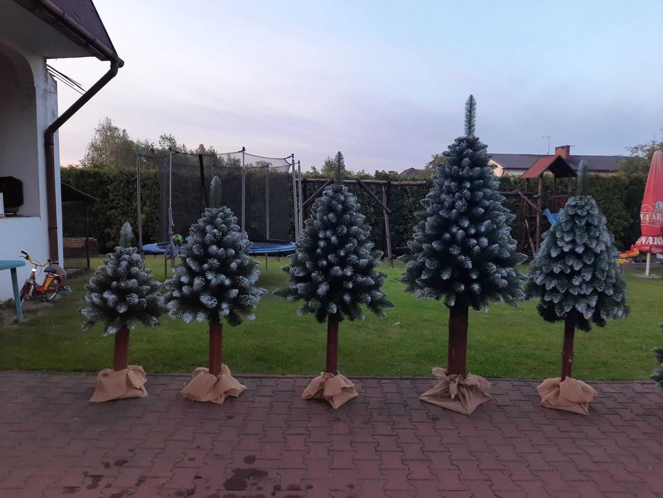 Choinka sztuczna, Sosna Diamentowa na pniu - 120 cm, Producent