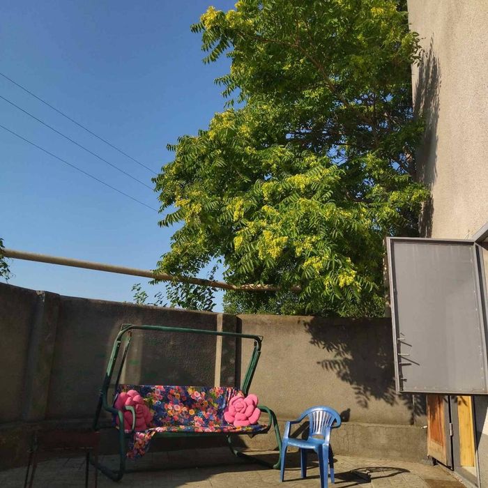 Сдам дом 3 к , гараж.Совиньон у моря , можно с животными!