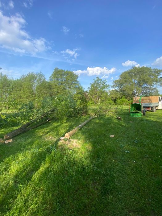 Usługi rębakiem, wycinka drzew, frezowanie pni wynajem, dowóz, darmowa