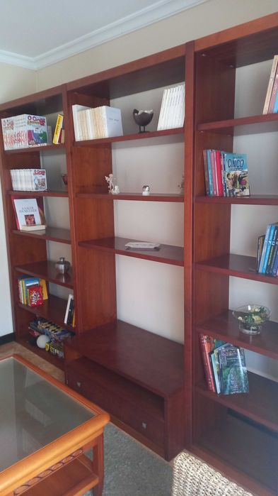 Estante de sala para televisão e livros