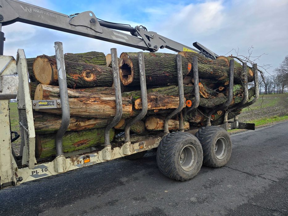 Witam oferuje uslugi