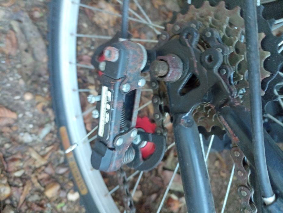 2 Bicicletas WBT World Bike Tour	Adulto -   Pouco Uso*