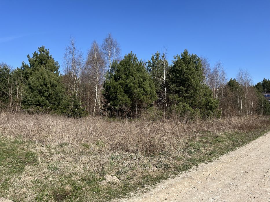 Działka budowlana Kotwasice przy lesie