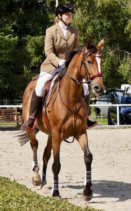Klacz 5 lat 170cm bezpieczna, zrownowazona klacz