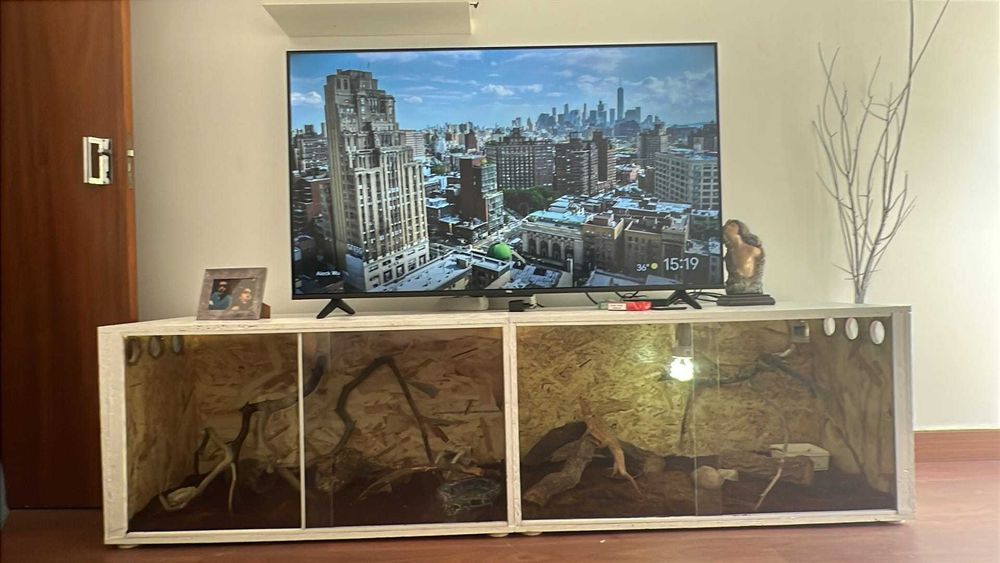 Vendo conjunto de 2 terrários