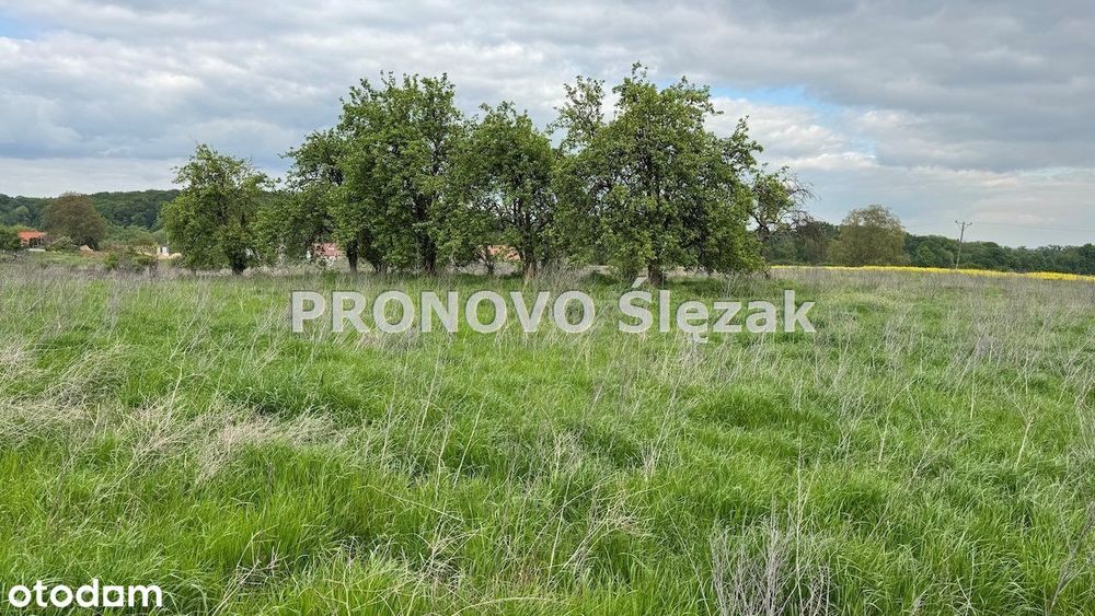 Sprzedam działkę z potencjałem