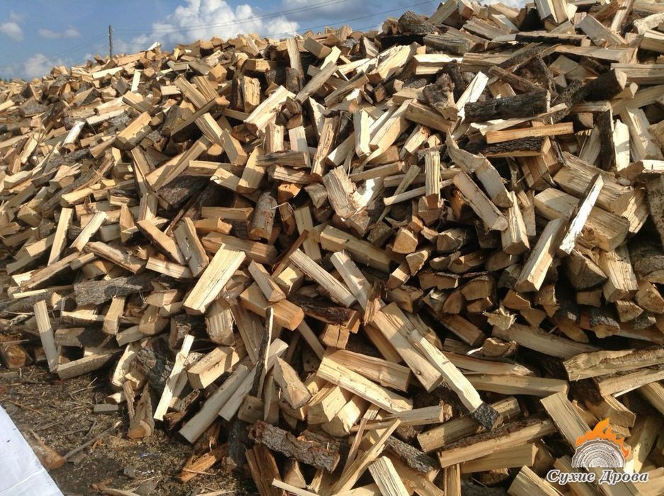 Дрова твердих порід