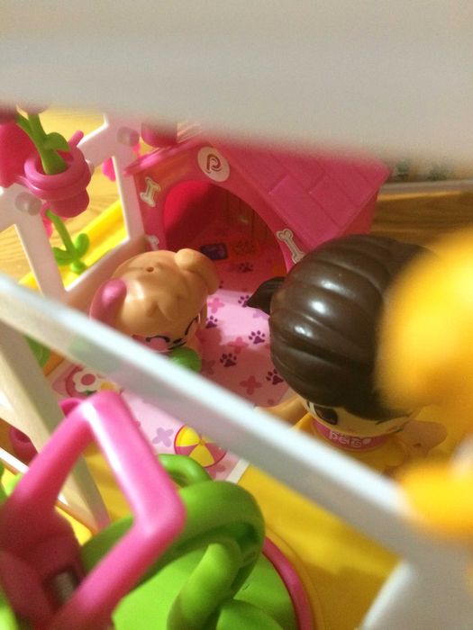 Pinypon Casita das Mascotes