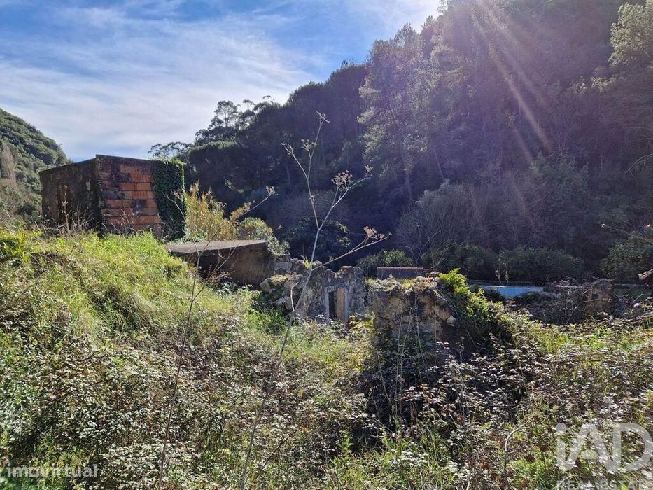 Comércio diverso em Porto de Mós - São João Baptista e São Pedro de 10