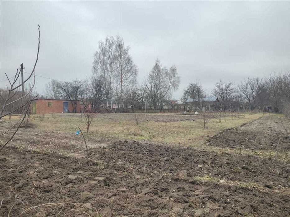 Ділянка на березі водойми, Терешки!