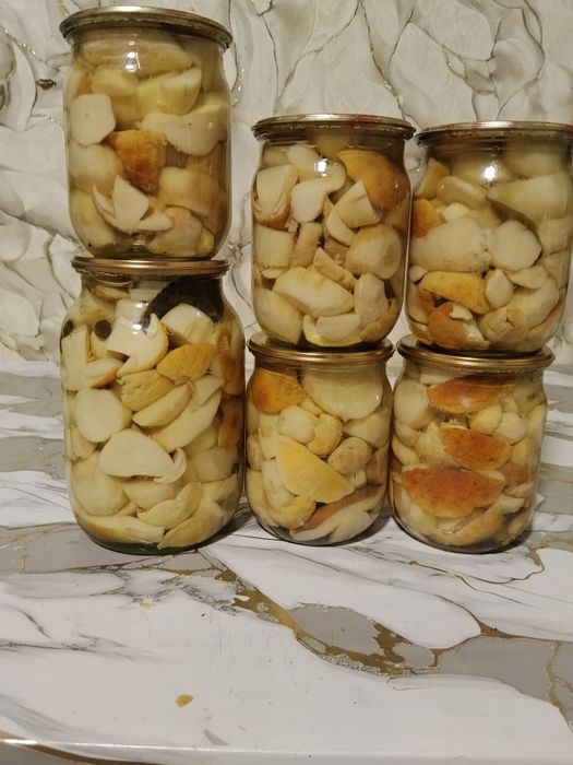 Мариновані гриби маслята,опеньки та білі