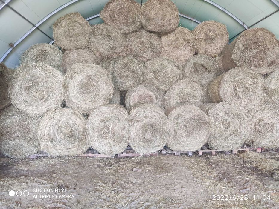 sprzedam siano w rolkach 125x120 stale dostawy oraz transport