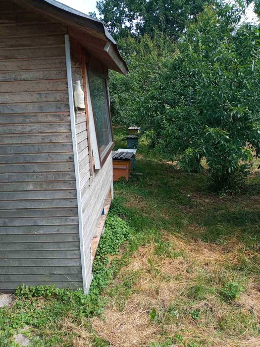 Аппидомик для трех ульев (сон на ульях)