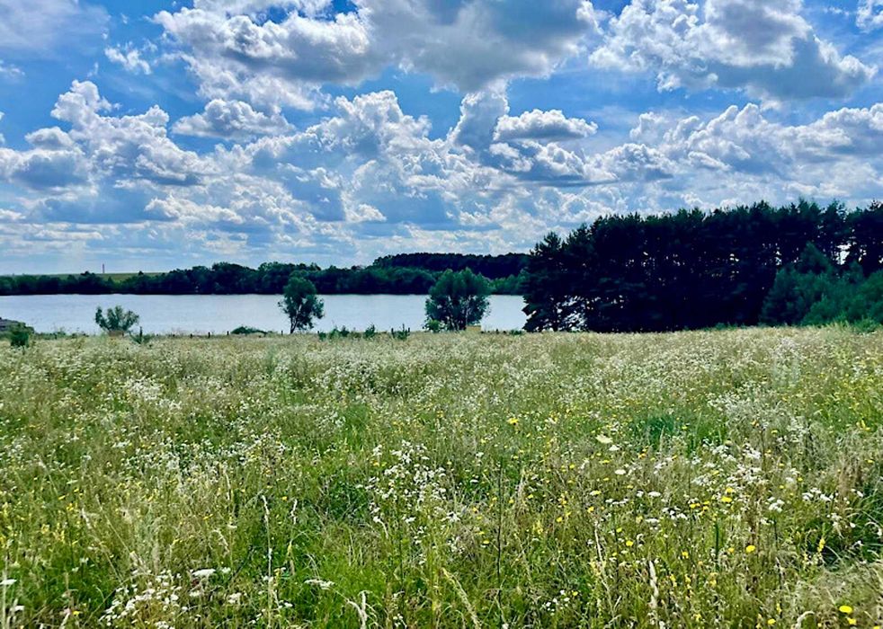 Ділянка в мальовничому с. Рівець