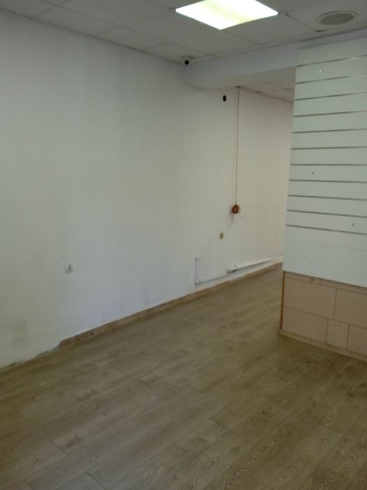 Lokal do wynajęcia