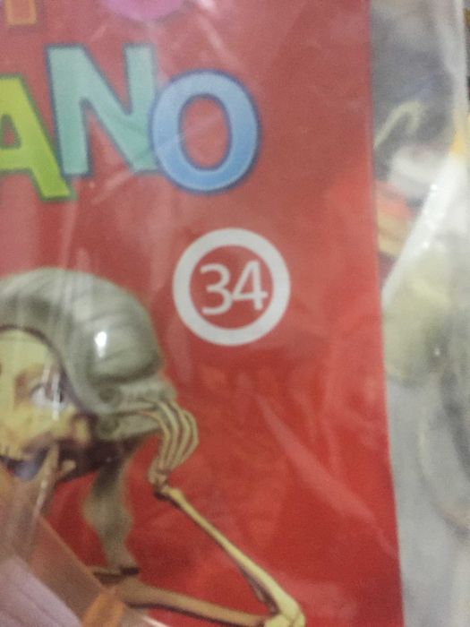 34 peças de um esqueleto