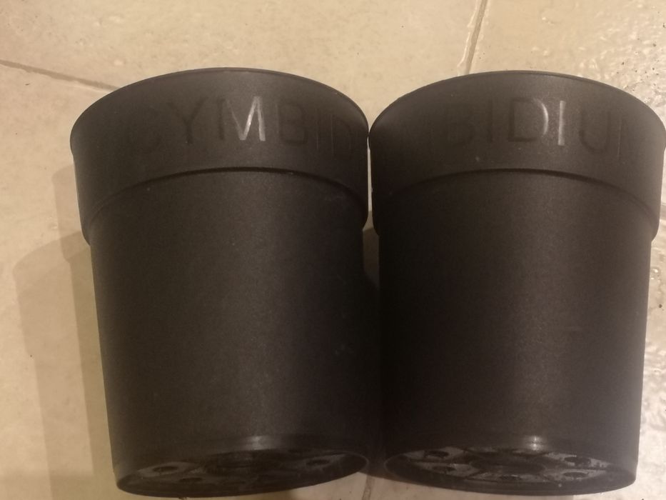 Vasos de orquídeas cymbidium