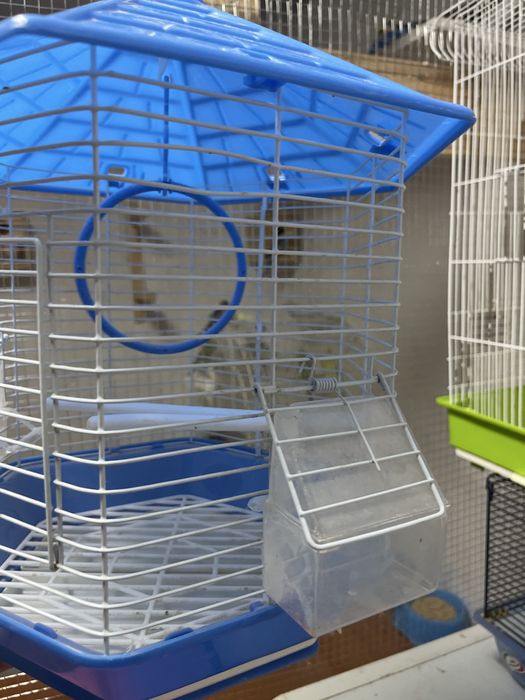 Gaiola passaro - como nova