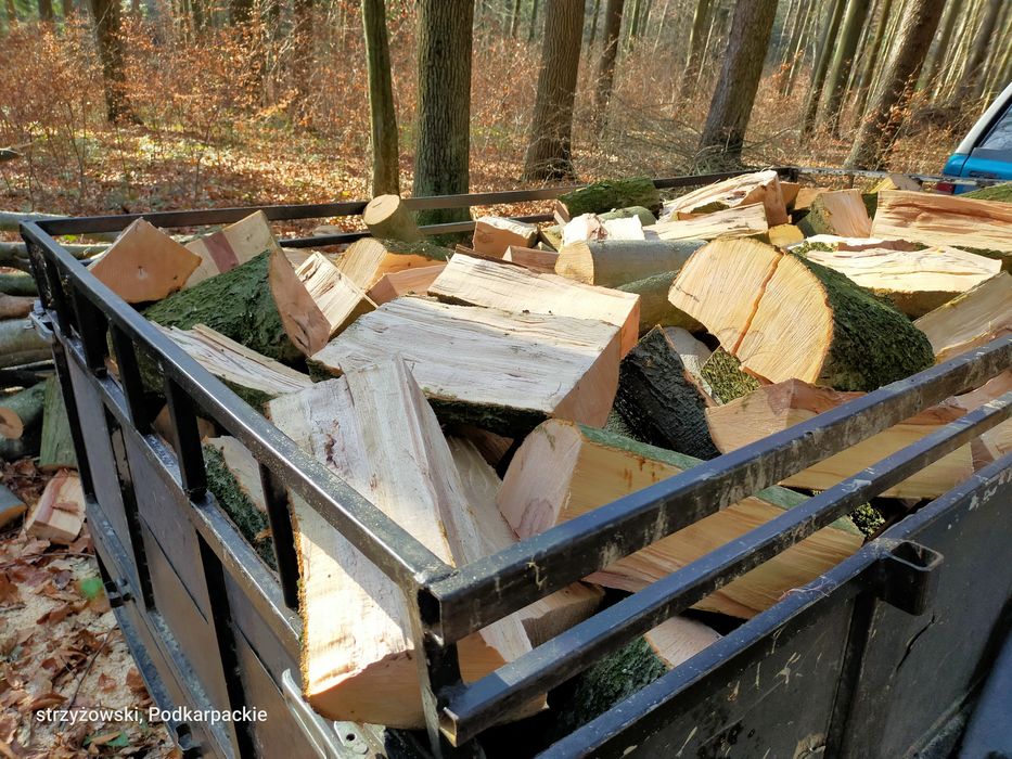 Drewno opałowe kominkowe buk