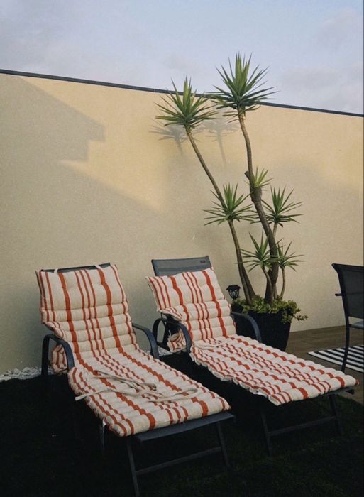 2 espreguicadeiras + cushions
