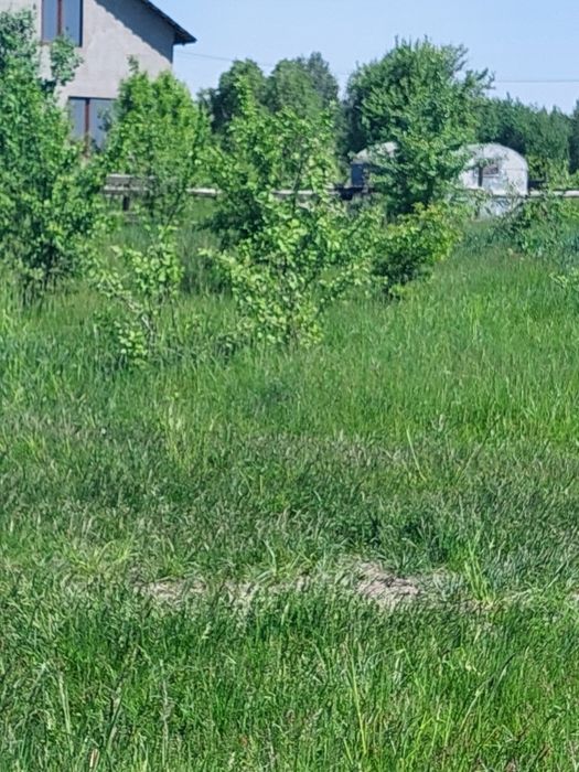 Продам земельну ділянку в Оліівці