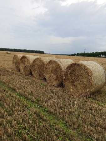 Sprzedam słomę i siano 2025
