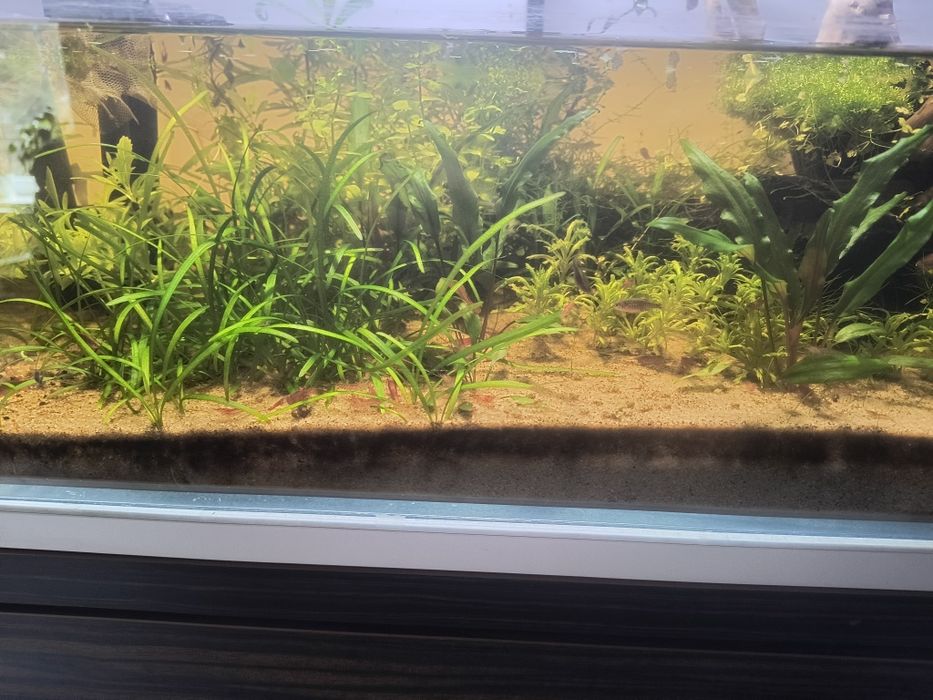 Akwarium69x39x20