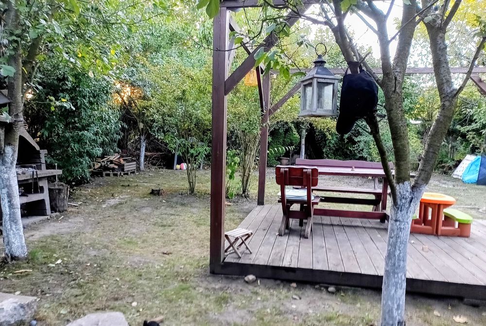 Wyjątkowa działka 635 m² – ROD „Nowy Start” | murowana altana, szklarnia, pergola, prąd, woda. - Widok 5