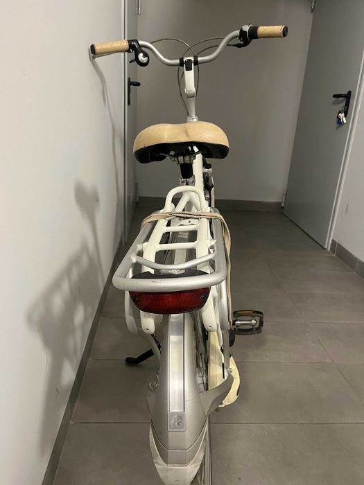 Wiosenny rower holenderski Batavus