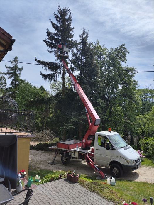 22m Usługi, wynajem podnośnika koszowego, zwyżka 22m, wycinka drzew.