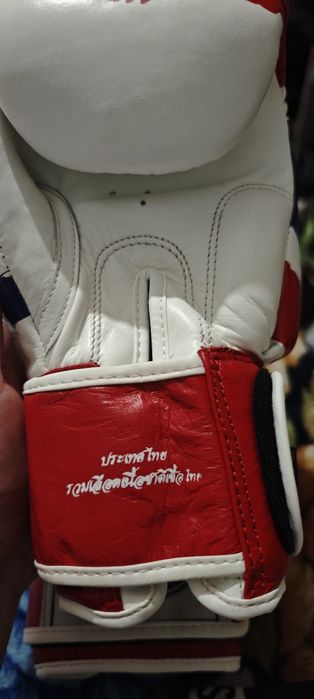 Luvas fairtex 12 onz novas