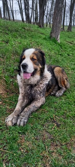 Жених ищет невесту