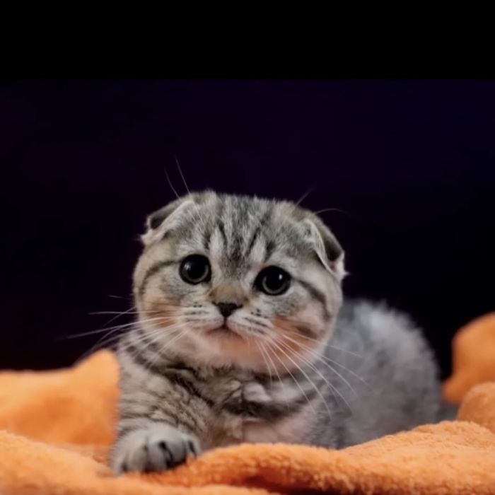 Чарівний хлопчик