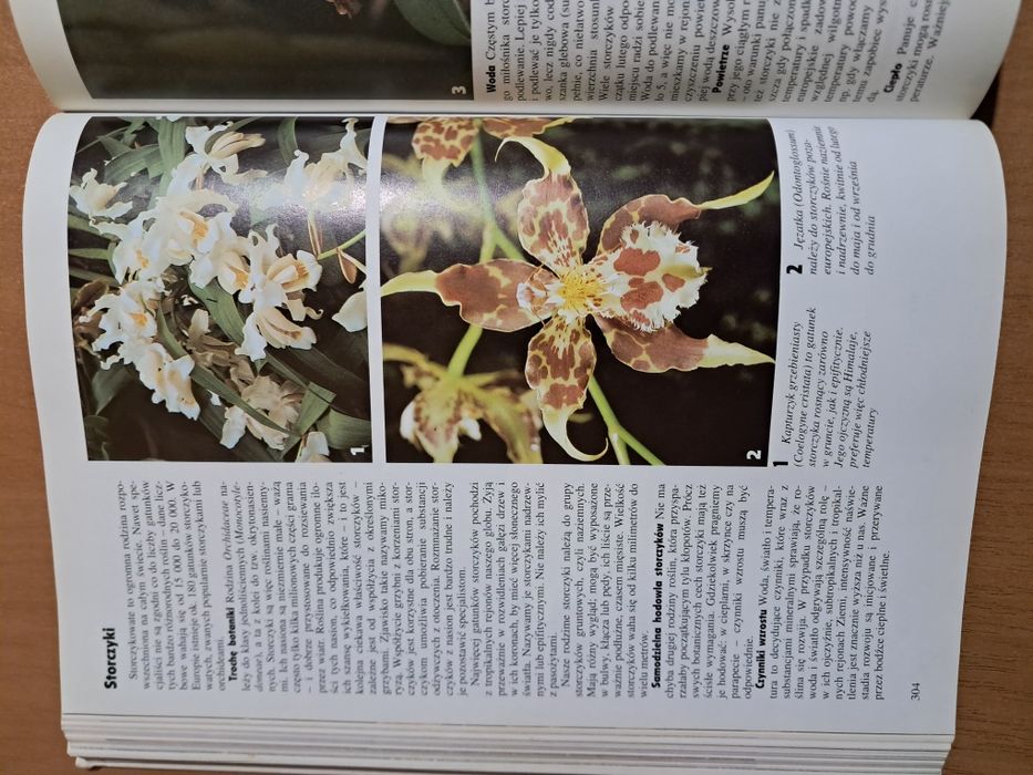 Książka Mój ogród