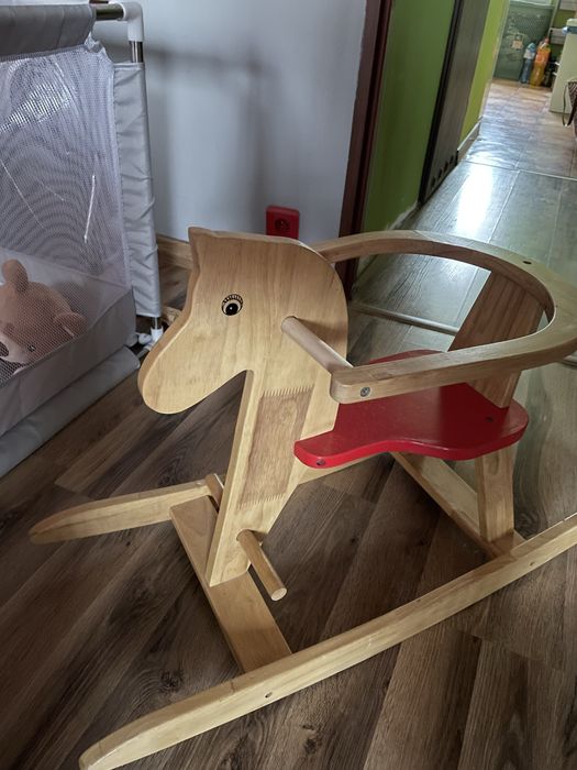 Konik na biegunach