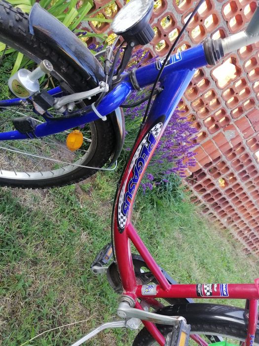Rower Pegasus w bdb stanie