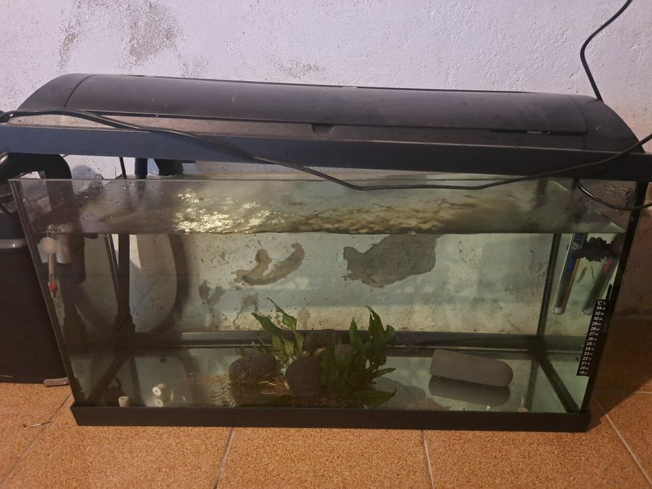 Aquário 80x40x30