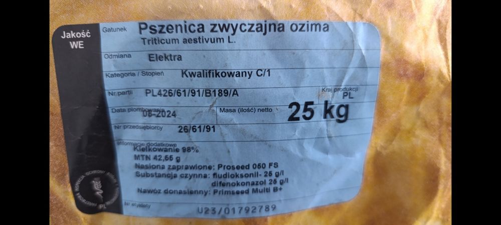 Pszenica ozima Elektra