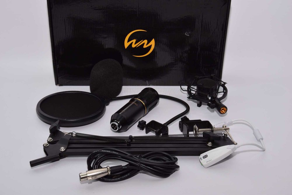 Конденсаторний мікрофон ZINGYOU BM-800 (Black/Gold)