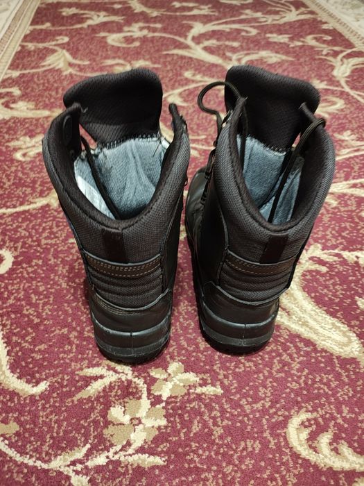 Берци талант зимові   41