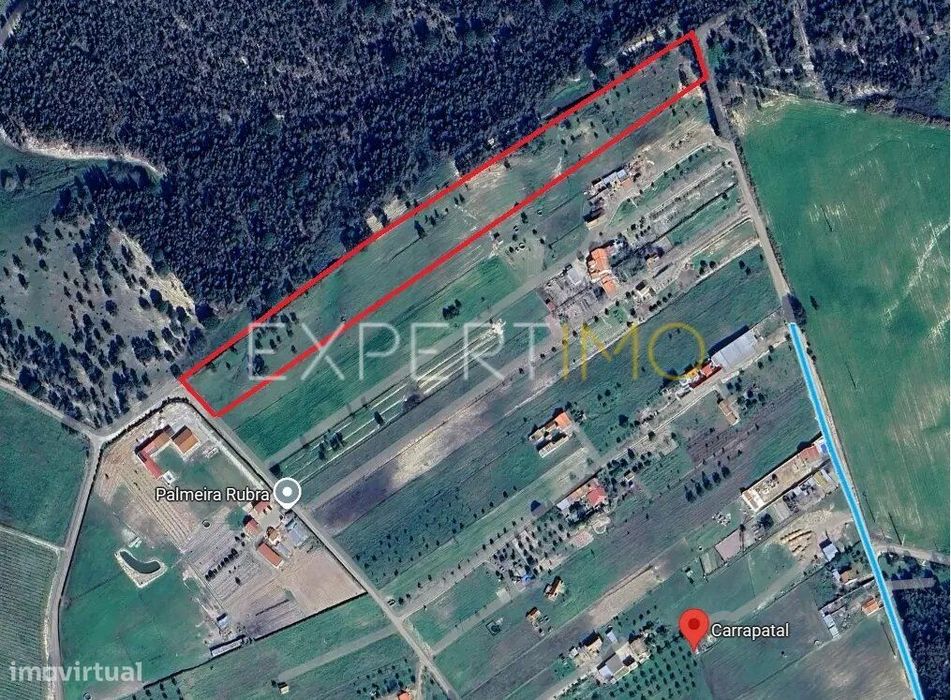 Terreno rústico em Carrapatal Canha - Montijo