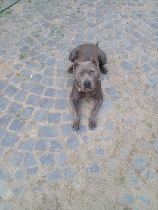 Вязка Стафф вязка