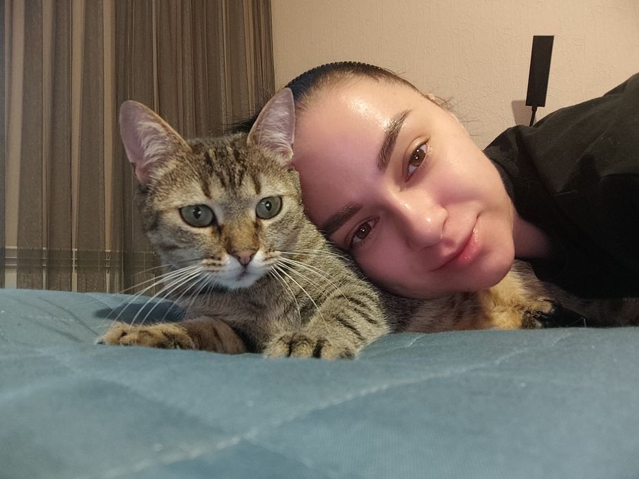 Домашняя передержка котиков 250 грн/сутки Смотрите тик ток saharova777