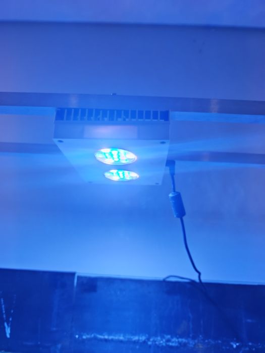 3 hydra 26 hd para despachar