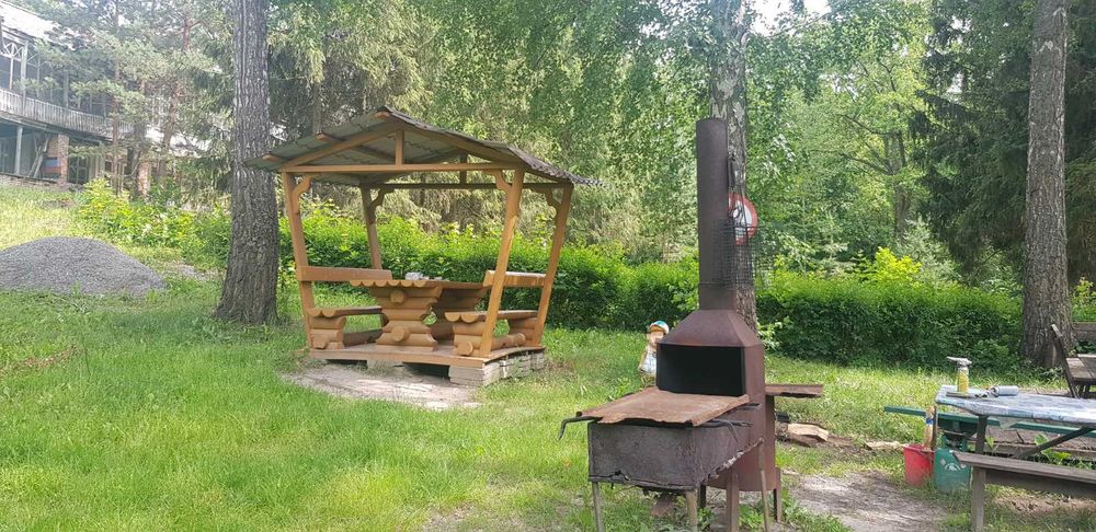 Продам будинок + парк 2 Га в Старому Мерчику | варіант для себе та бізнесу